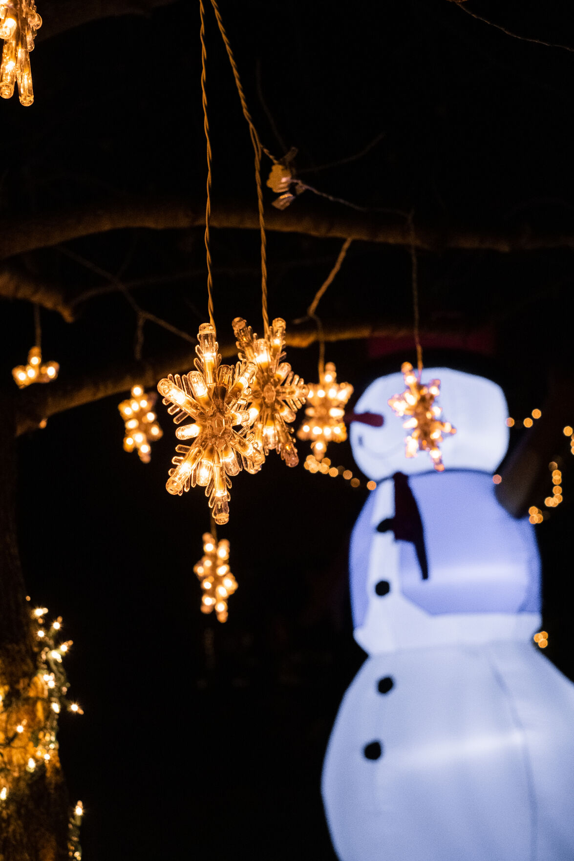 photo_ft_news_xmas lights movern lane-1.jpg